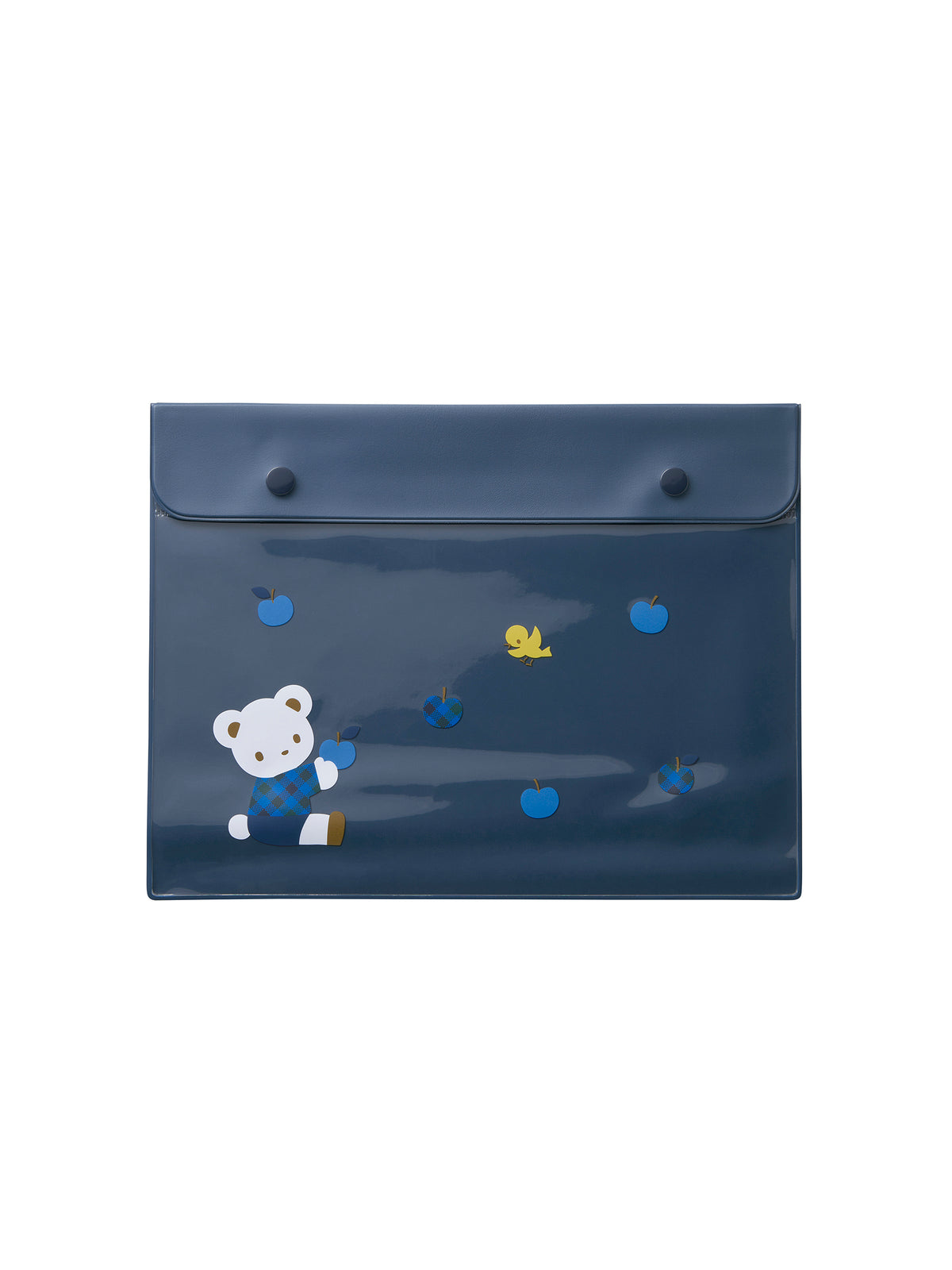 Clear case