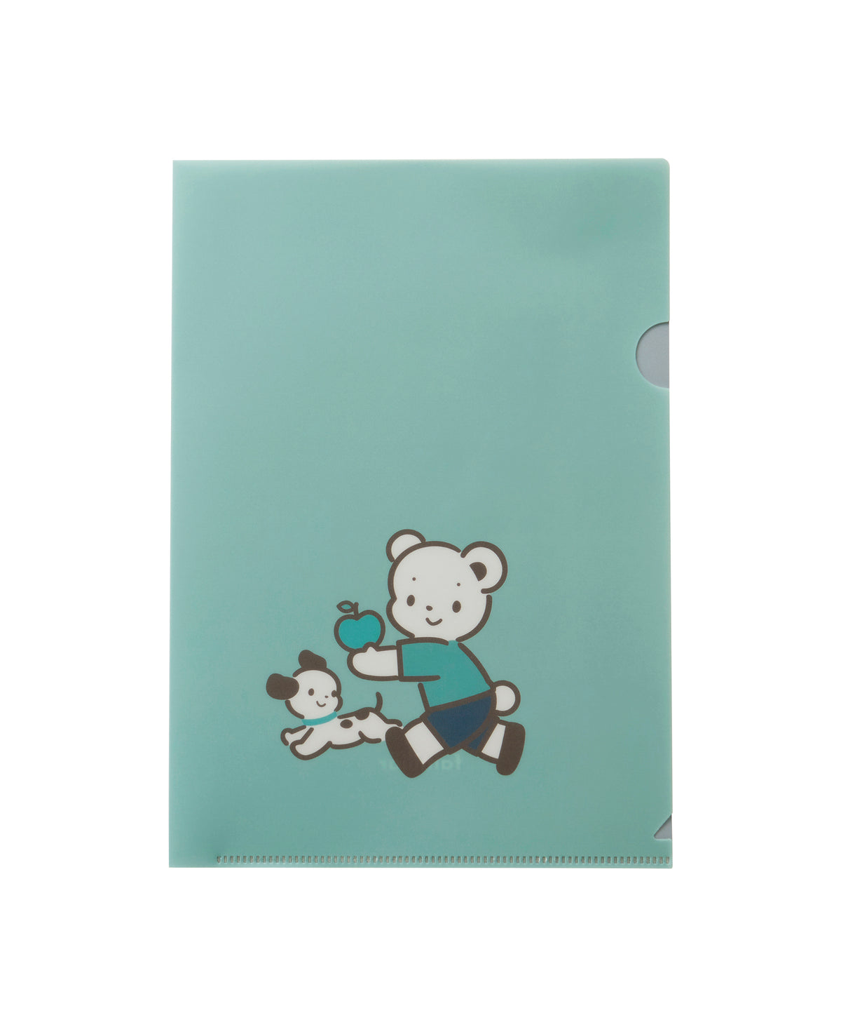 Mini clear file