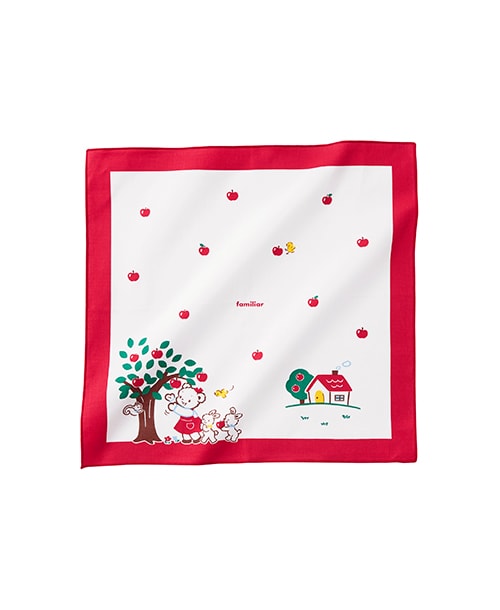 Lunch cloth