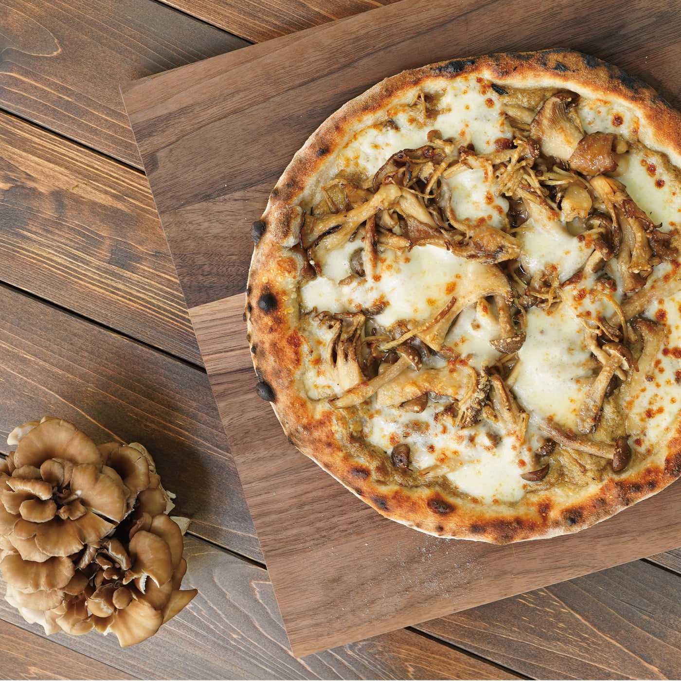 HOME | familiar ファミリア 公式サイト