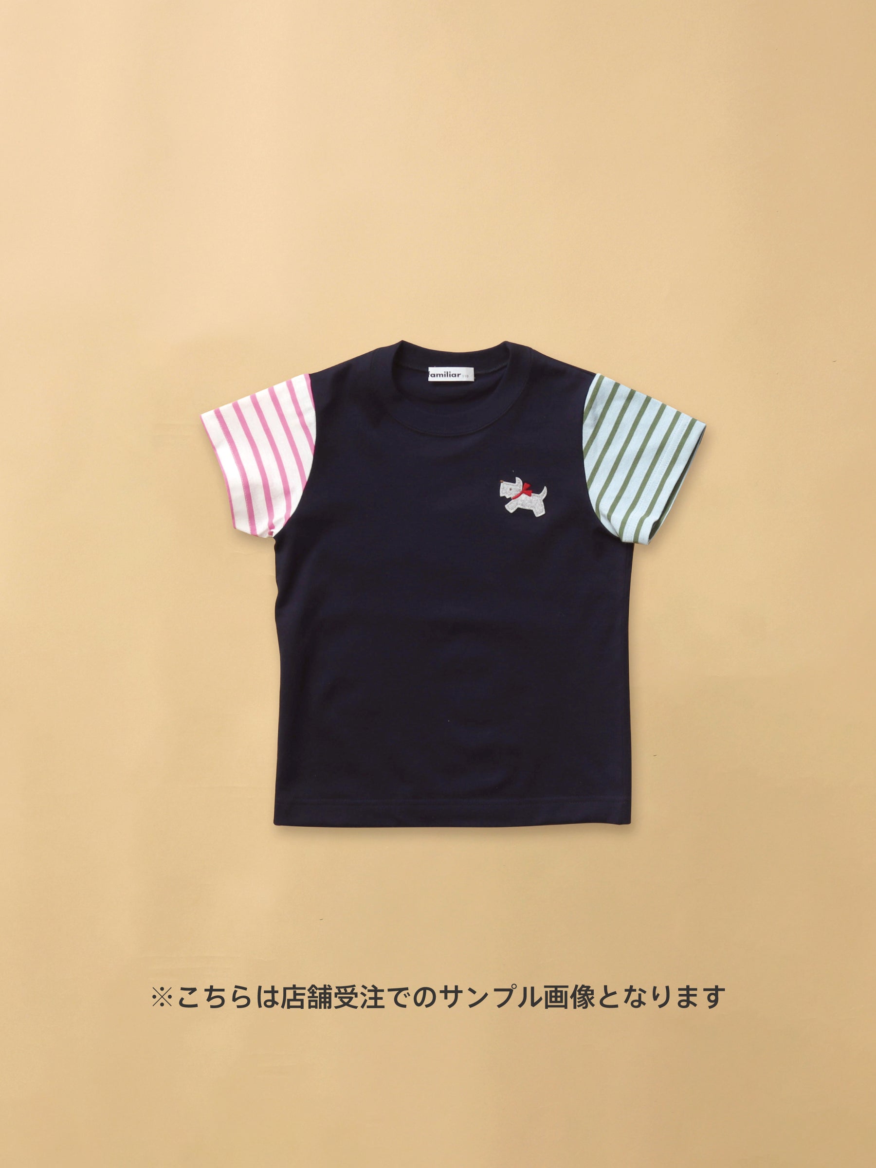 【WEB受注】カスタマイズTシャツ アート（刺繍）〈春のファミリアショー 2025〉